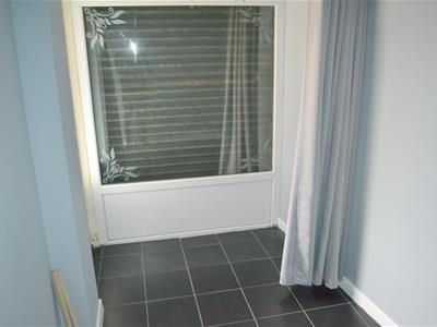 Picture 7